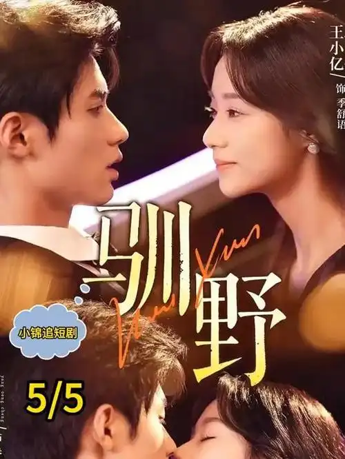 丁香花电视剧免费观看 资讯